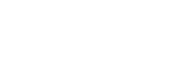 Logo_bluem